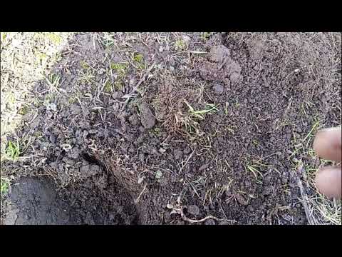 Видео: Копаем! SkycruiserS63. Немного про стабильность прибора.