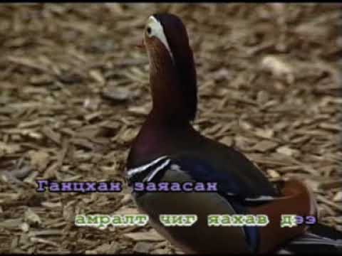 Видео: Зүүдэн хайлан ээж - Энхзул | Монгол дууны караоке