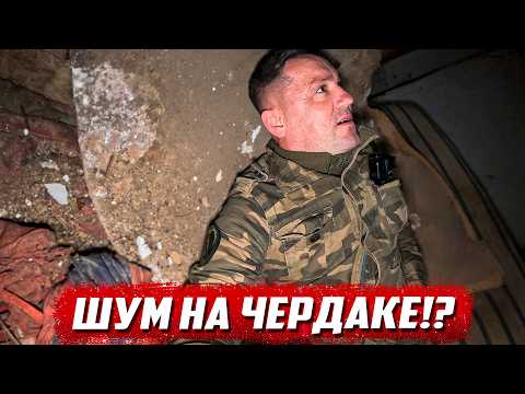 Видео: Заброшенные места Орловской области | Колпнянский р/н с.Городецкое