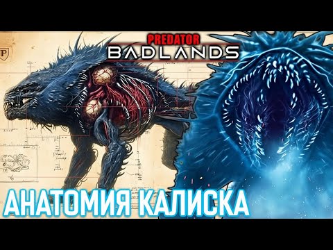 Видео: Кто такой Калиск из фильма Хищник: Планета смерти