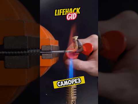 Видео: Универсальные советы для дома. Больше интересного в телеграм #lifehacks #diy #tools #tips #shorts