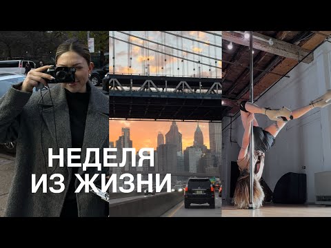 Видео: VLOG 9 НЕОЖИДАННЫЕ ВСТРЕЧИ ИЗ ПРОШЛОГО, УВЛЕЧЕНИЯ И БУДНИ