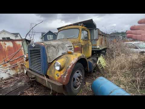 Видео: Сосед, полный обзор!