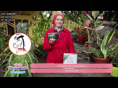 Видео: Удачное Настроение Октябрь