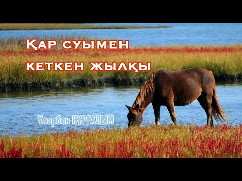 Видео: Қар суымен кеткен жылқы - #Ұларбек Нұрғалым