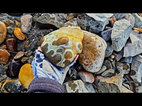 Видео: Узнайте, что скрывается под вашими ногами: исследуйте гравий, наполненный агатами, и многое друго...