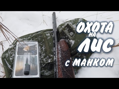 Видео: Охота на лис с манком Nordik Mini Predator. Женщина на охоте