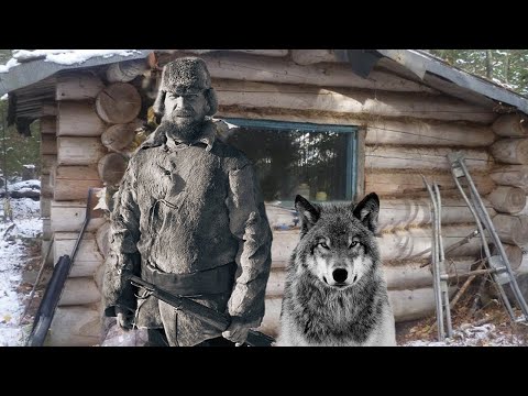 Видео: Этот раненый ВОЛК для него стал АНГЕЛОМ хранителем и ТАЛИСМАНОМ