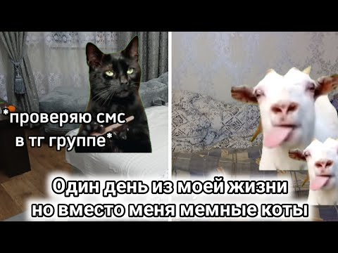 Видео: Один день из моей жизни, НО ВМЕСТО МЕНЯ МЕМНЫЕ КОТЫ | CapCut | Prosto_Pelbmenb