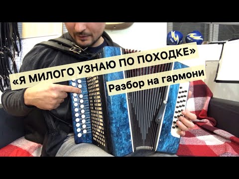 Видео: Разбор на гармони | Я МИЛОГО УЗНАЮ ПО ПОХОДКЕ