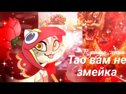 Видео: Покупка Тао и немного накоплений🪷|Castle Cats| By: Rysinaya_zvezda
