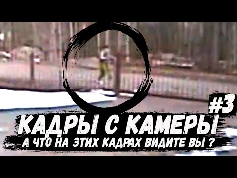 Видео: Кадры с камеры наблюдения #3. А что на этих кадрах видите вы? Игорь Гаврилов. Сапсан