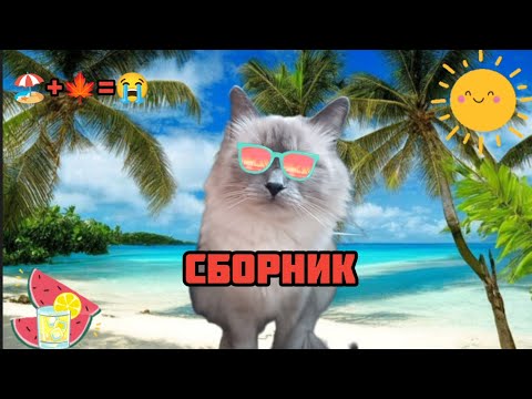 Видео: сборник 🏖️ #9