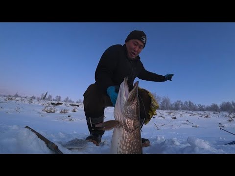 Видео: ЗАРЯДИЛ ЖЕРЛИЦУ В КОРЯЖНИКЕ и ОНА ПОПАЛАСЬ!!! ЖЕРЛИЦЫ СЕМЕНЫЧА ЭТО НЕЧТО!!!