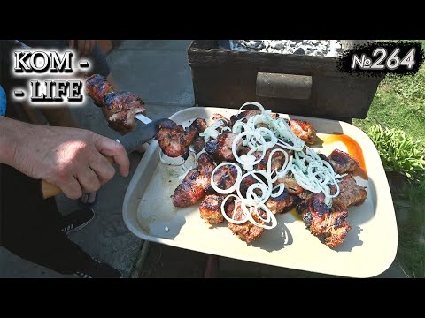 Видео: Фоксик на свадьбе!