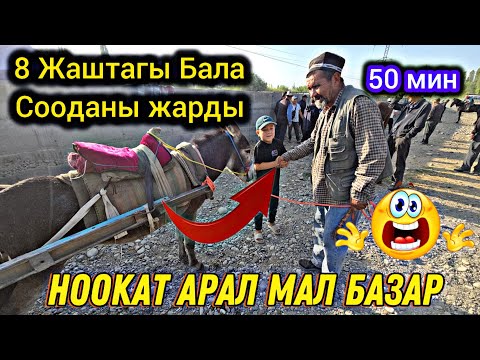 Видео: НООКАТ АРАЛ МАЛ БАЗАРЫ 8 ЖАШТАГЫ БАЛА СООДАНЫ КЫЗЫТТЫГОО ЭХХЕЕЕЙ 26 МИН БЕРДИ