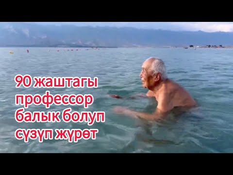 Видео: Ысык-Көлдү кантип толтурса болот? // Салы Каримов жакшы сунуш айтты, 2024-жыл, август