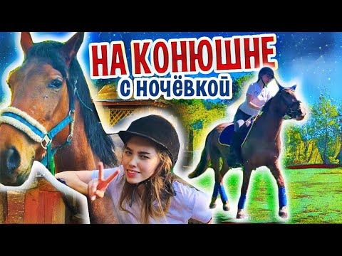 Видео: VLOG: 2 ДНЯ на КОНЮШНЕ с НОЧЕВКОЙ