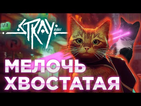 Видео: Stray - Обзор игры - Ваша киска купила бы..?