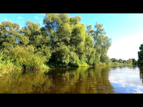 Видео: 3 Дня Живём На Реке. Рыбалка На Экраны.