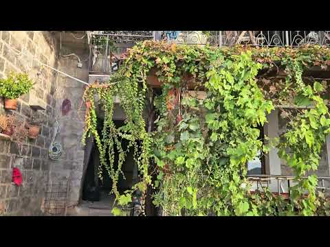 Видео: Pržno, Пръжно на залез 🤩💖