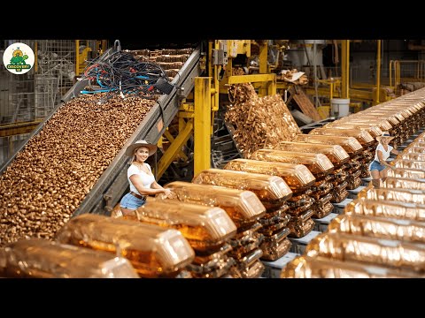 Видео: Супергигантский процесс переработки меди: превращение миллионов проводов в чистую медь