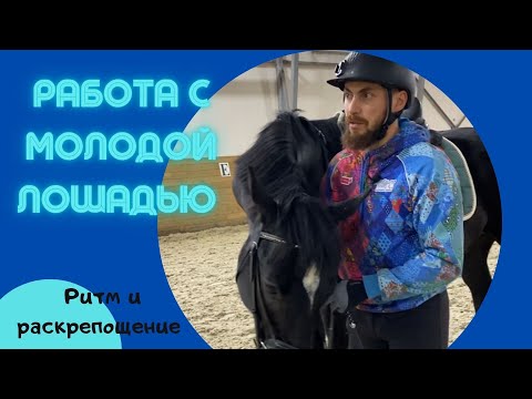 Видео: Работа с молодой лошадью. Ритм и раскрепощение. Вниз и вперёд