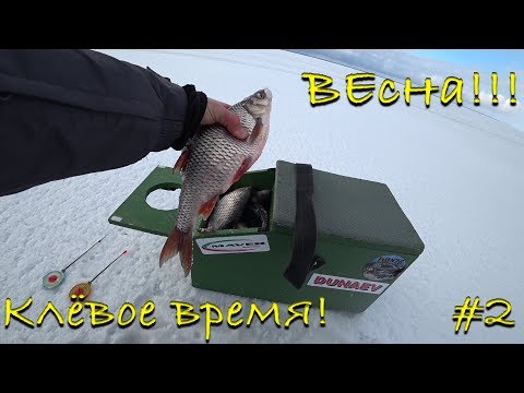 Видео: Весна!!! Клёвое время! Часть первая.