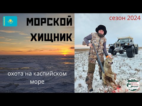 Видео: Морской Хищник 2024