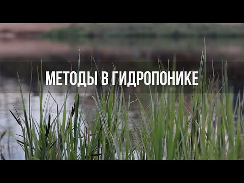 Видео: Методы выращивания растений в гидропонике