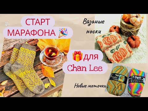 Видео: ВЛОГ 27/2025Г ВЯЗАНЫЕ НОСКИ/ЖАККАРД/СТАРТЫ/МАРАФОН #jogless #fairisle #bohus #knitting #socks 