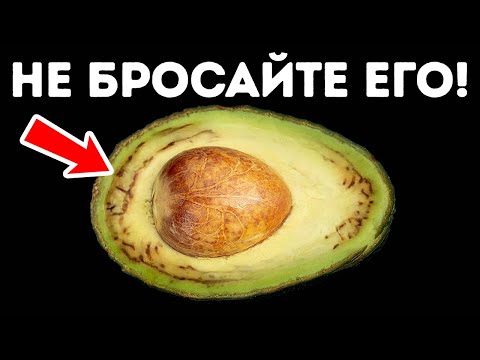 Видео: Невероятные открытия! Шокирующие факты, в которые вы не поверите