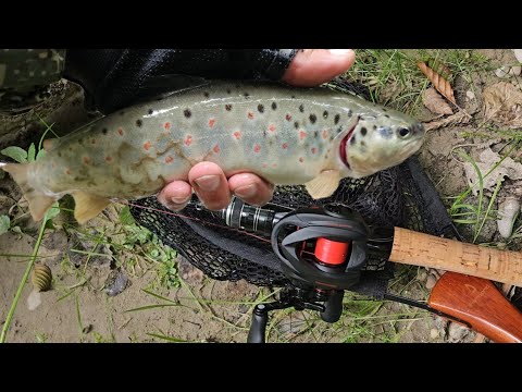 Видео: Рыбалка на форель в лесной речке Кабардино-Балкарии. Крупная форель в диких условиях Кавказа! #trout