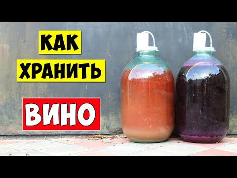 Видео: Хранение Вина! Как хранить домашнее ВИНО! Выдержка Вина!