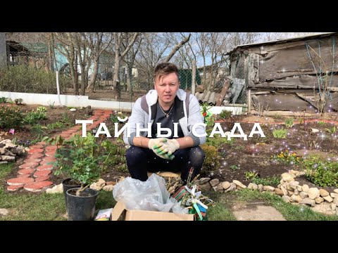 Видео: Интернет-магазин Подворье. Ужасные посылки с розами