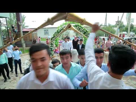 Видео: Туй 11111