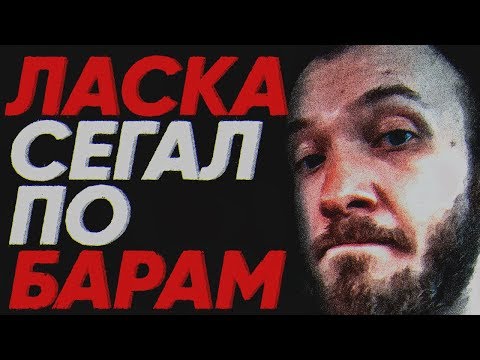 Видео: ЛАСКА И СЕГАЛЛ ПО БАРАМ