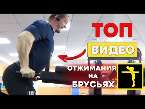 Видео: Как Правильно отжиматься на Брусьях| ТОП видео по Брусьям