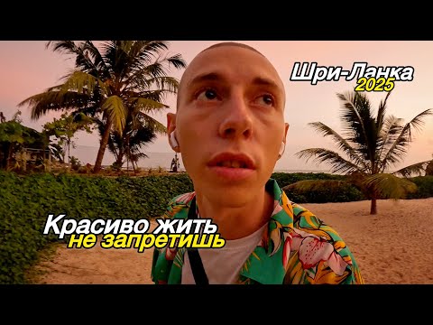 Видео: ШРИ ЛАНКА: КРАСИВО ЖИТЬ НЕ ЗАПРЕТИШЬ! 2025