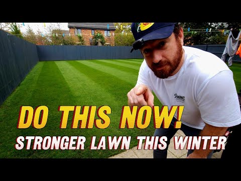Видео: Как подготовить газон к зиме/осени: подкормка и жидкие удобрения