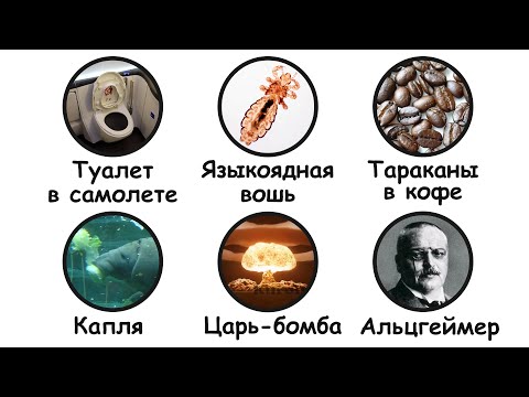 Видео: Тревожные научные факты