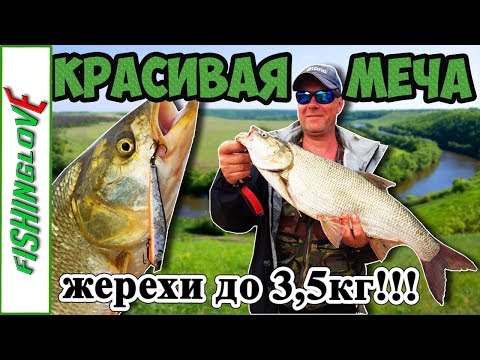 Видео: КРАСИВАЯ МЕЧА
