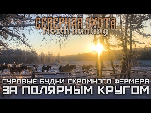 Видео: Суровые будни скромного фермера, за полярным кругом. СЕВЕРНАЯ ОХОТА - NORTH HUNTING