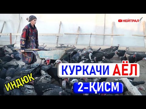 Видео: КУРКAЧИ AЁЛ. 2-қисм. Ҳақиқий матонат. / Это героизм.