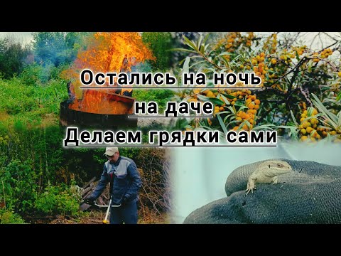 Видео: ПЕРВАЯ НОЧЁВКА НА ДАЧЕ, МНОГО ПИЛИЛИ, КОПАЛИ И ГРЯДКАМ НА ДАЧЕ БЫТЬ