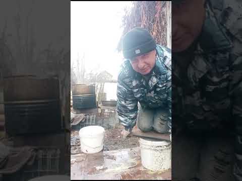 Видео: простейший способ получения воска из мервы