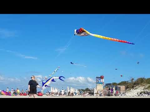 Видео: Воздушные змеи над балтийским  пляжем  Лесного на Куршской косе 31/08/2024