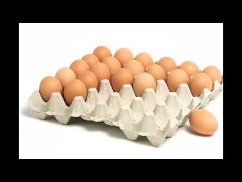 Видео: Зат мөлшері 8 сынып. 04.11.2025