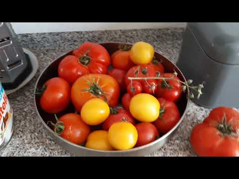 Видео: 19.08.2025 Какво остана за зреене?!