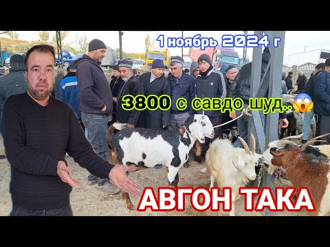 Видео: ИСТАРАВШАН ! АВГОН ТАКА ДАРОМАД ХАММА ХАЙРОН